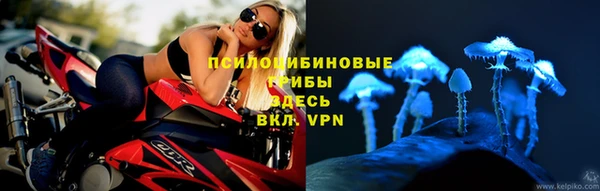 таблы Карпинск
