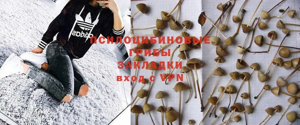 таблы Карпинск