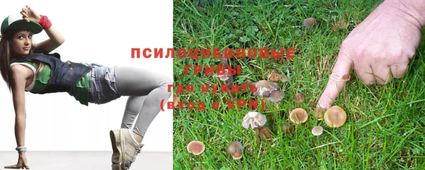 экстази Касимов