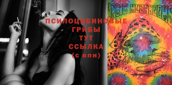 мяу мяу мука Карталы